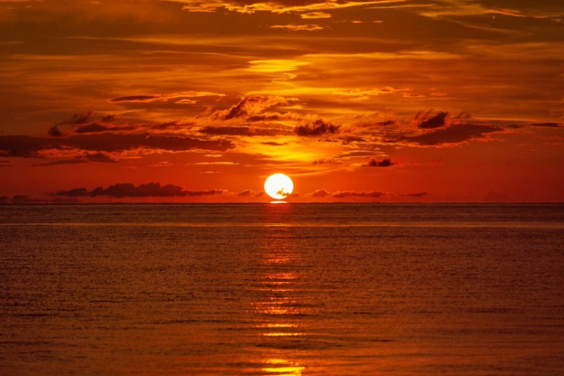 Neapolitan photo 6
