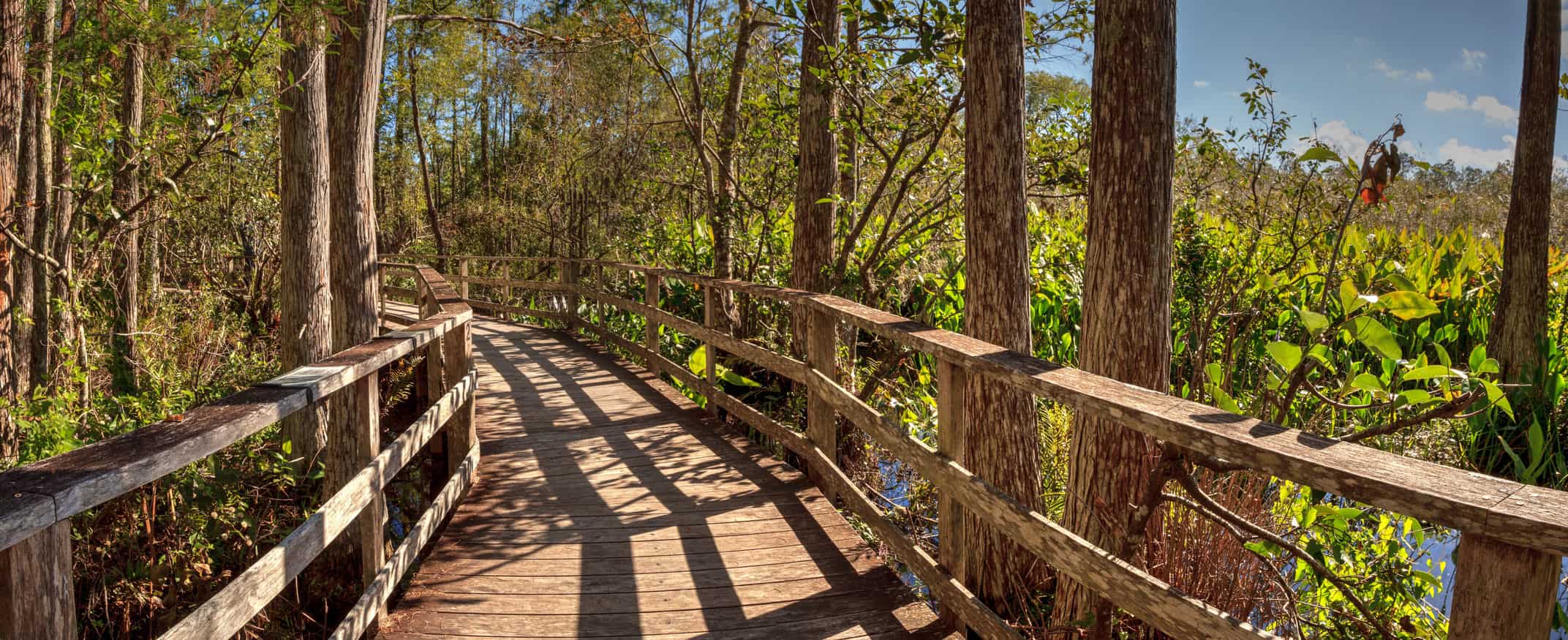 5 Different Habitats at Corkscrew Swamp Sanctuary