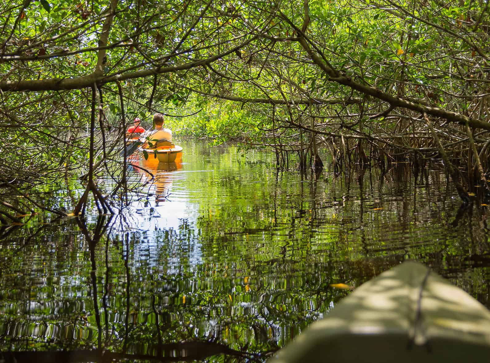 Touring Everglades National Park
