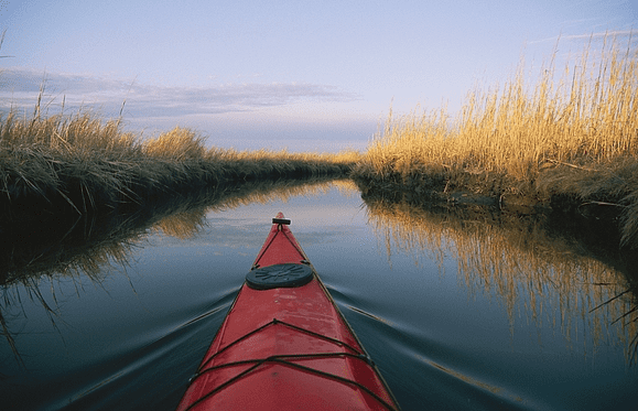 Have an Amazing Day of Everglades Kayaking!