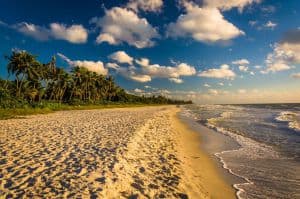 Naples Beaches: Best in Naples FL