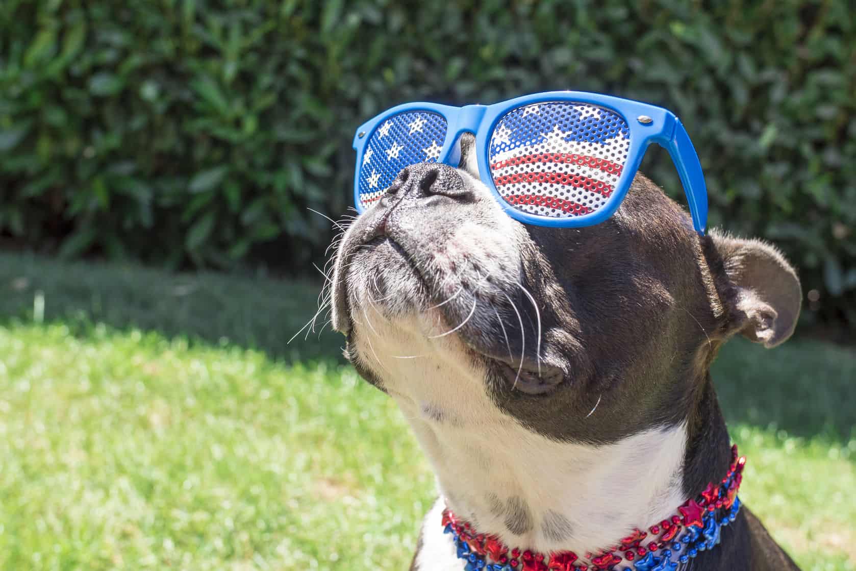 4th of July in Naples, FL (2025)
