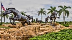 Lely Resort: Information & Directions