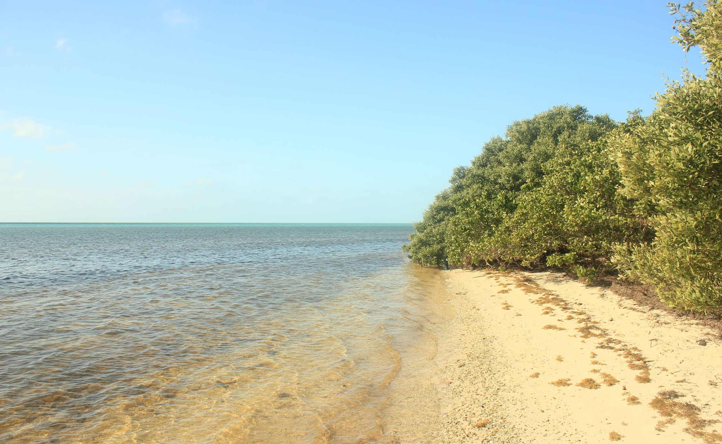 Park Shore: Info & Driving Directions