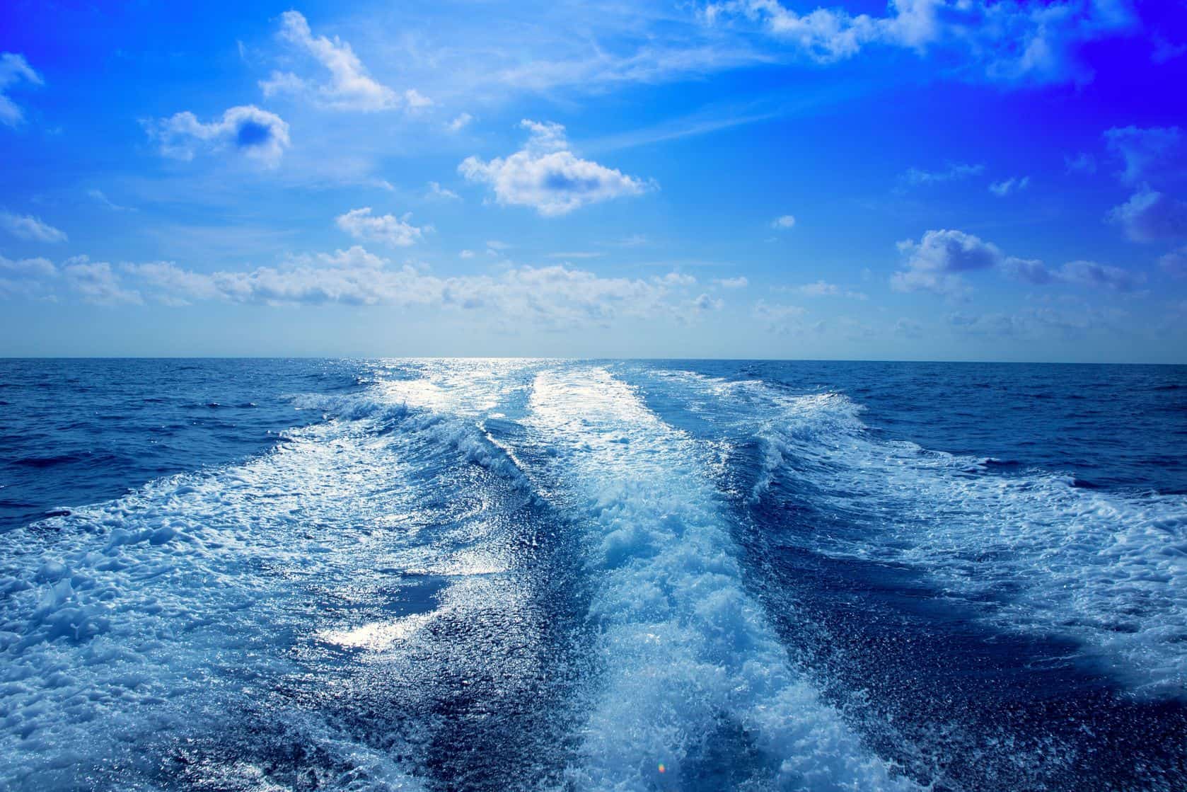 The Top Naples Boat Rentals