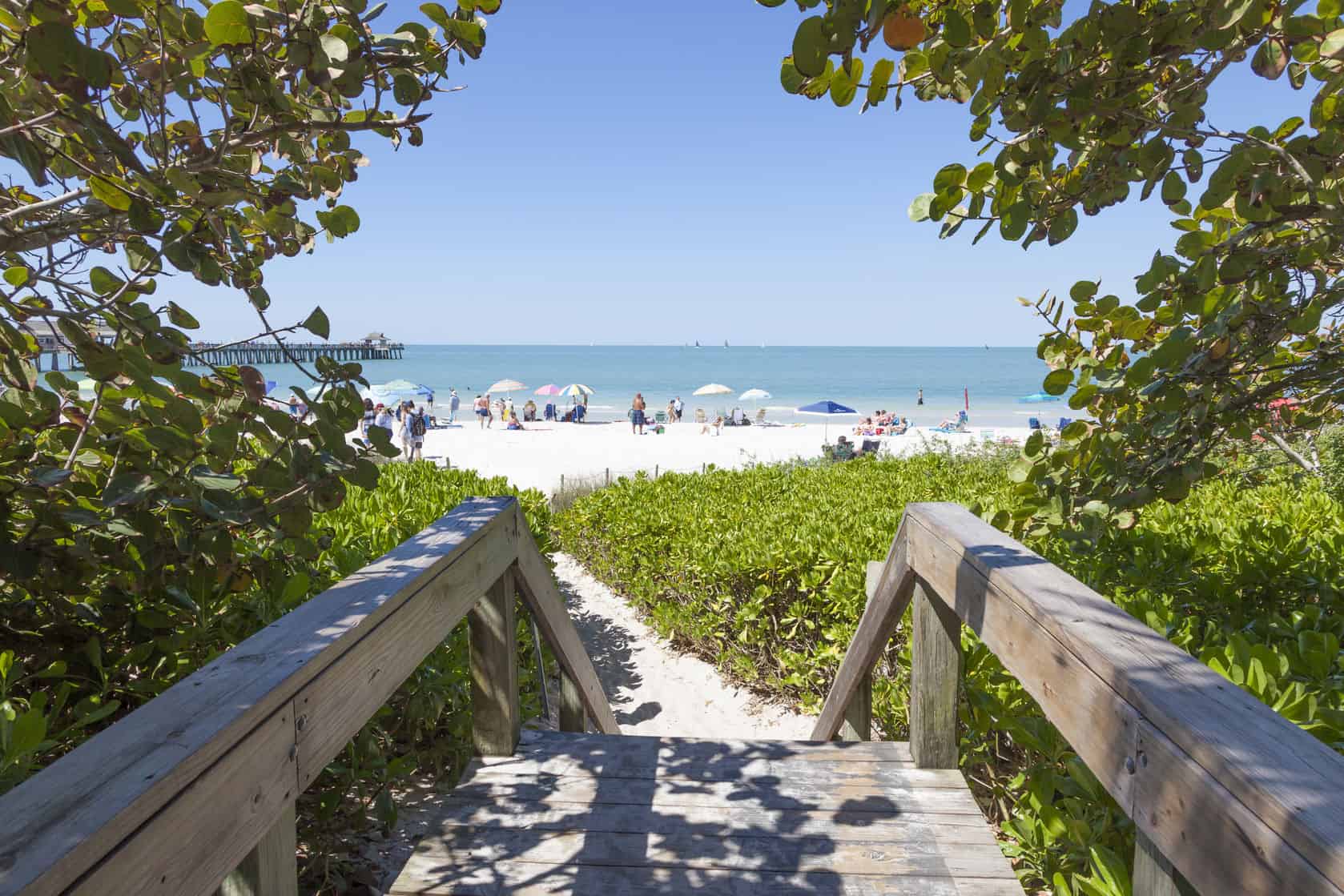 Barefoot Beach Preserve Information