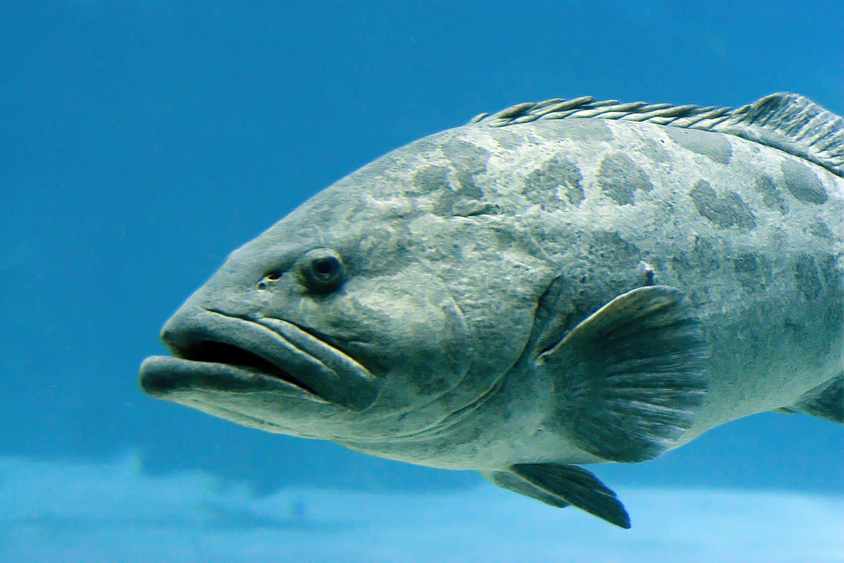 9 Great Fishing Spots to Explore in Florida