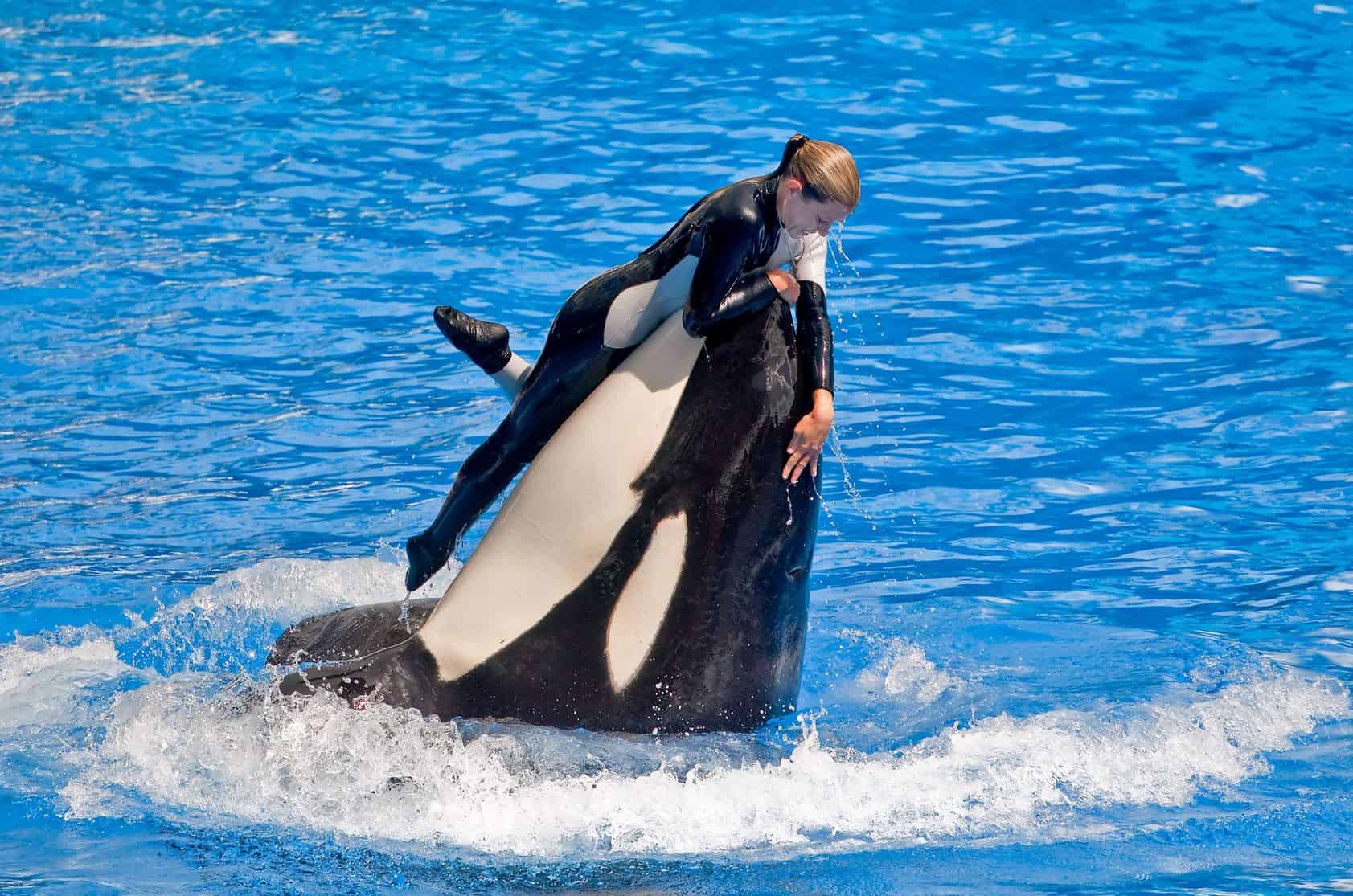 Best Family Vacation Destinations in Florida