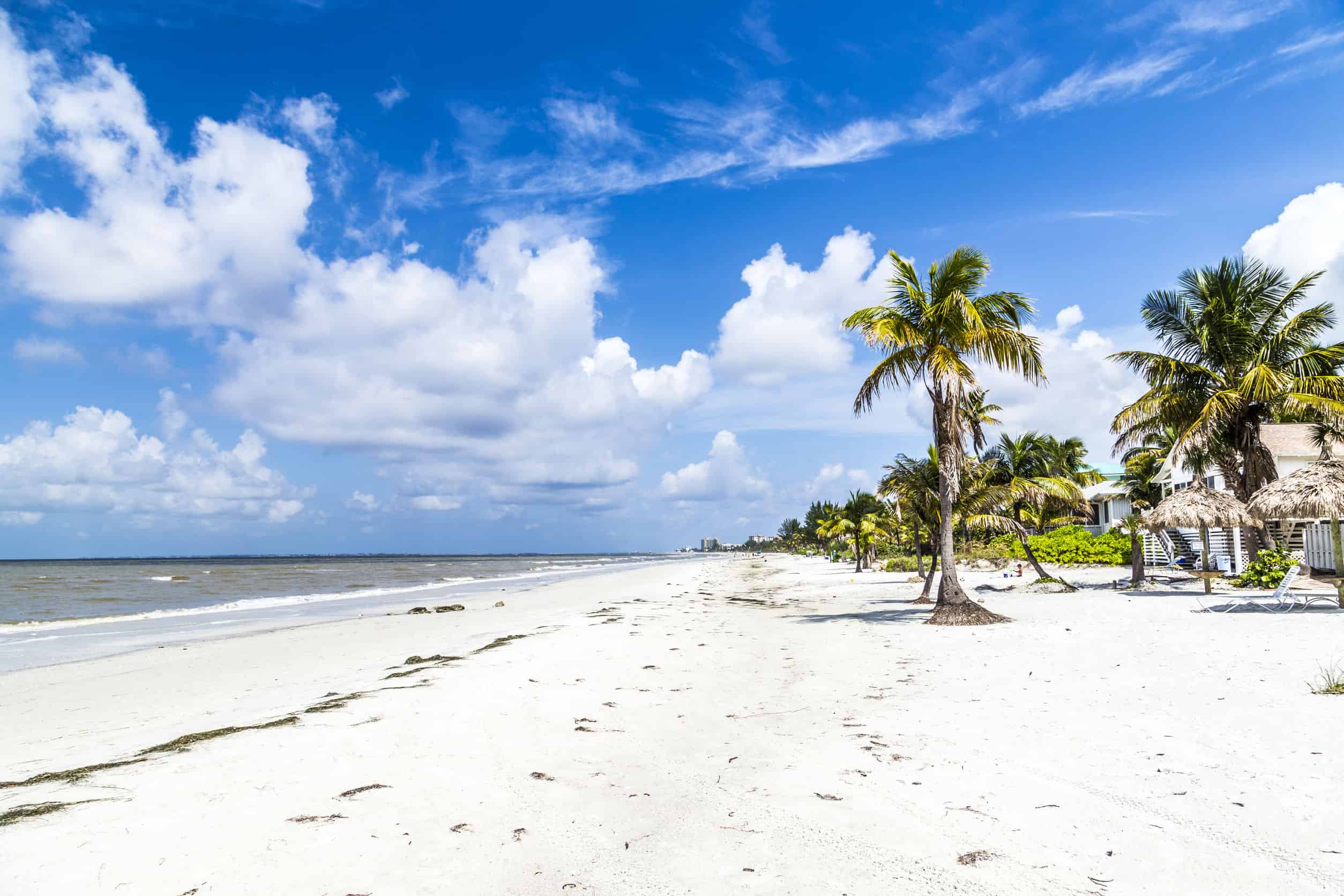 Airlines That Go to Southwest Florida International Airport | RSW
