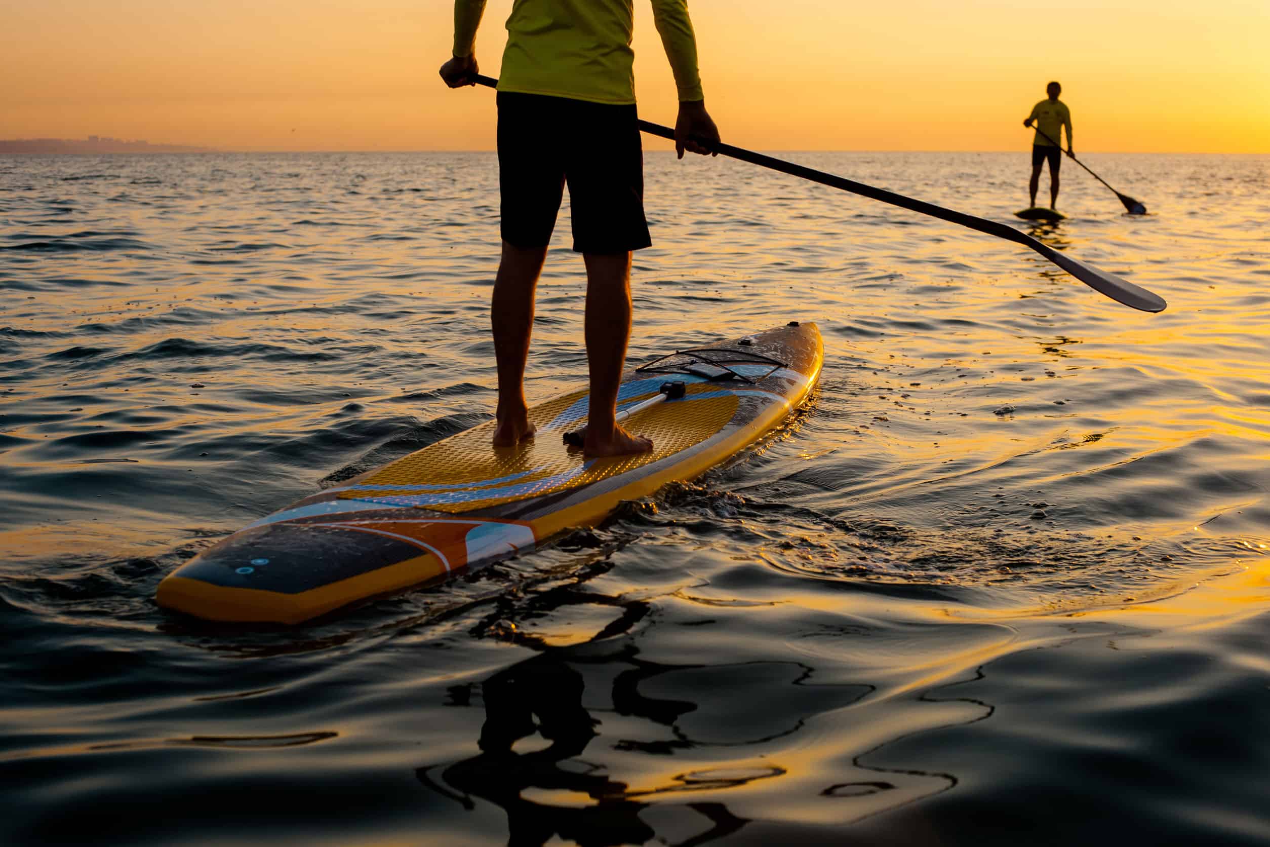 Top 10 Naples Florida Tours