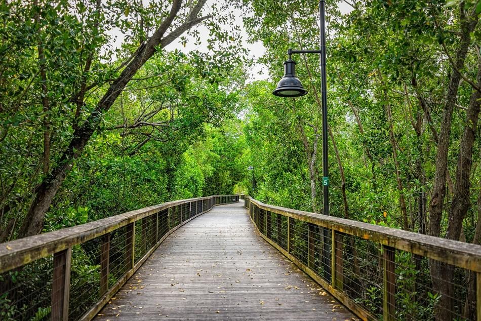 Trails & Boardwalks in Naples Area