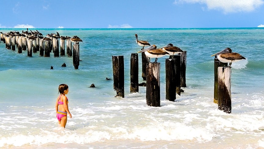 October Trip Planning: Naples, Florida