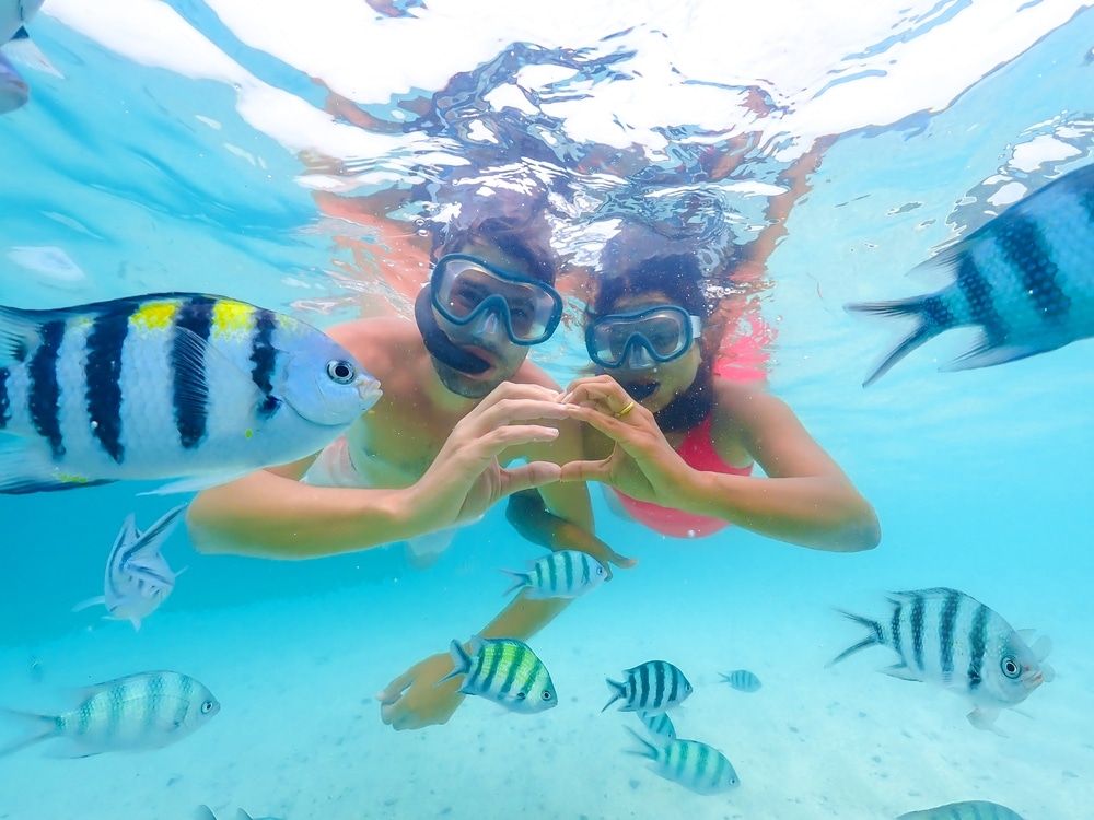 4 Best Snorkeling Spots in Naples, FL