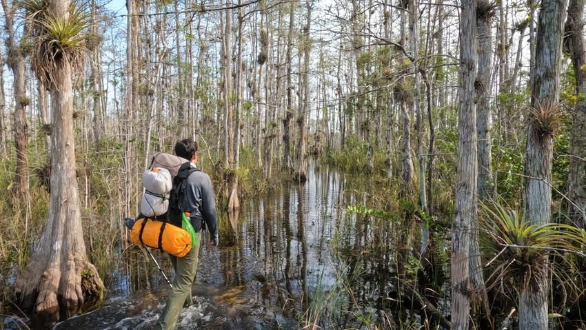 7 Best Day Trips from Naples, FL